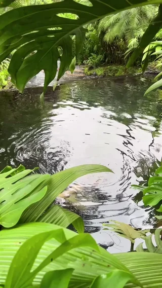 La Fortuna, CR